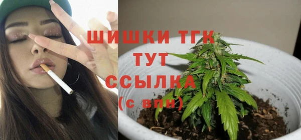 прущие грибы Куйбышев
