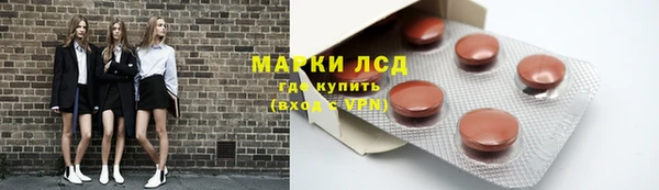 прущие грибы Куйбышев