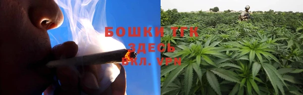 прущие грибы Куйбышев