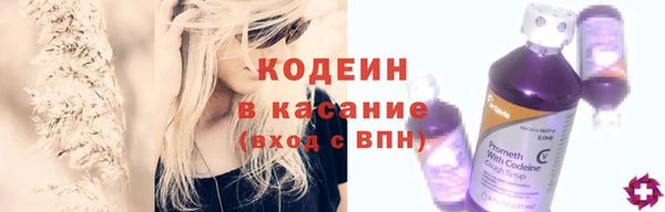 прущие грибы Куйбышев