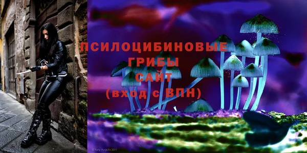 синтетический гашиш Краснослободск