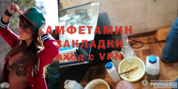 прущие грибы Куйбышев