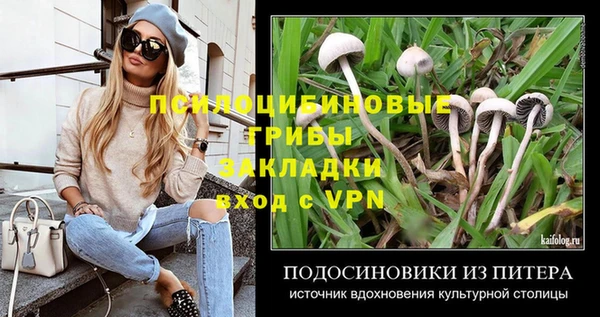 дмт Костерёво