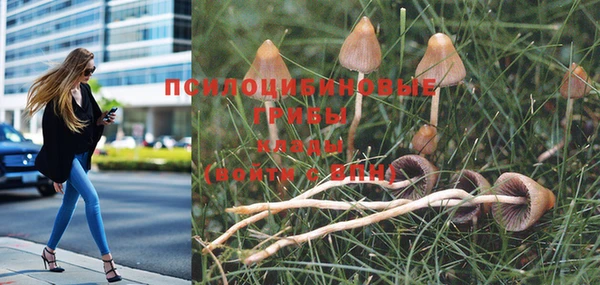 каннабис Кукмор