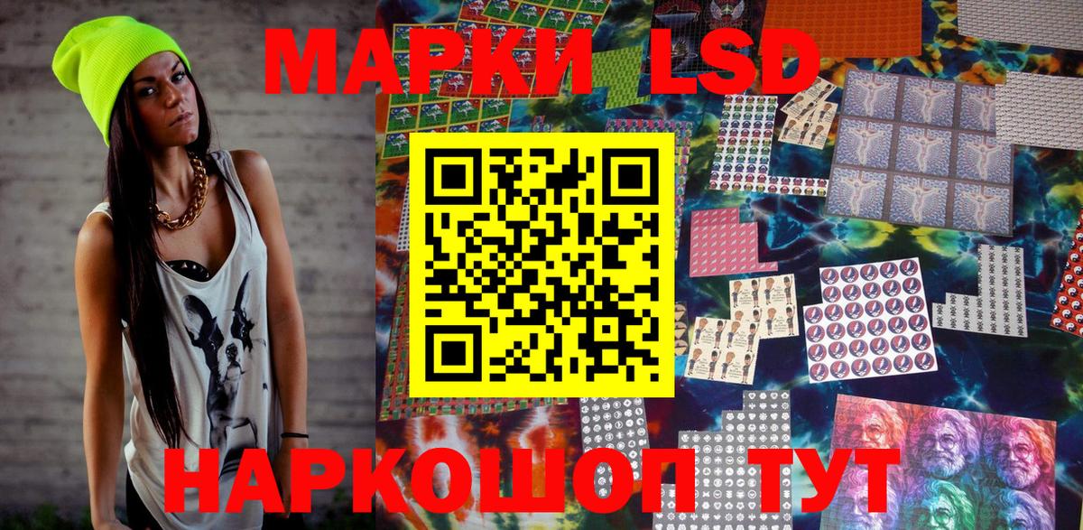 МЕФ Шебекино