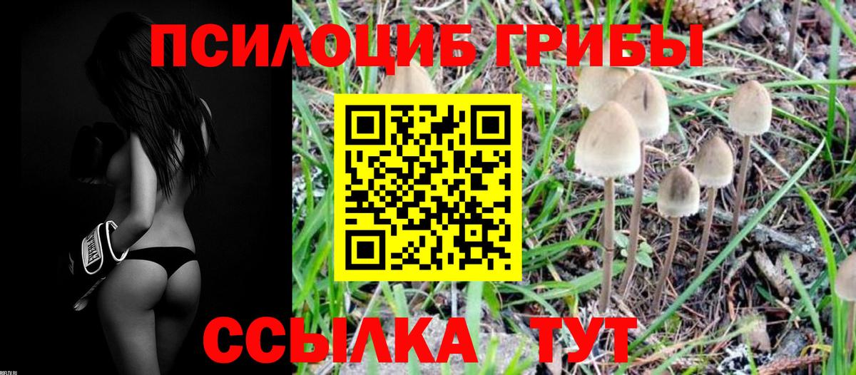 Галлюциногенные грибы MAGIC MUSHROOMS Шебекино