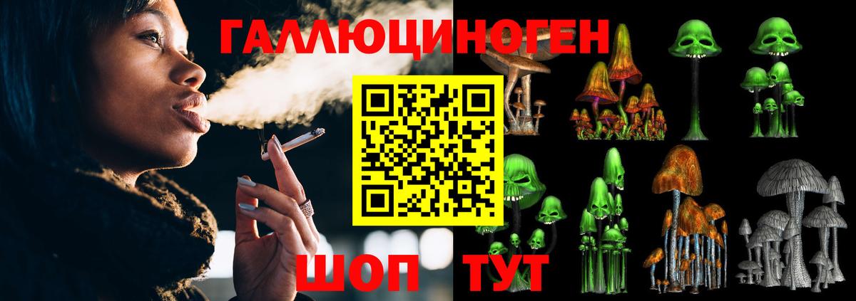 Галлюциногенные грибы Psilocybine cubensis Шебекино