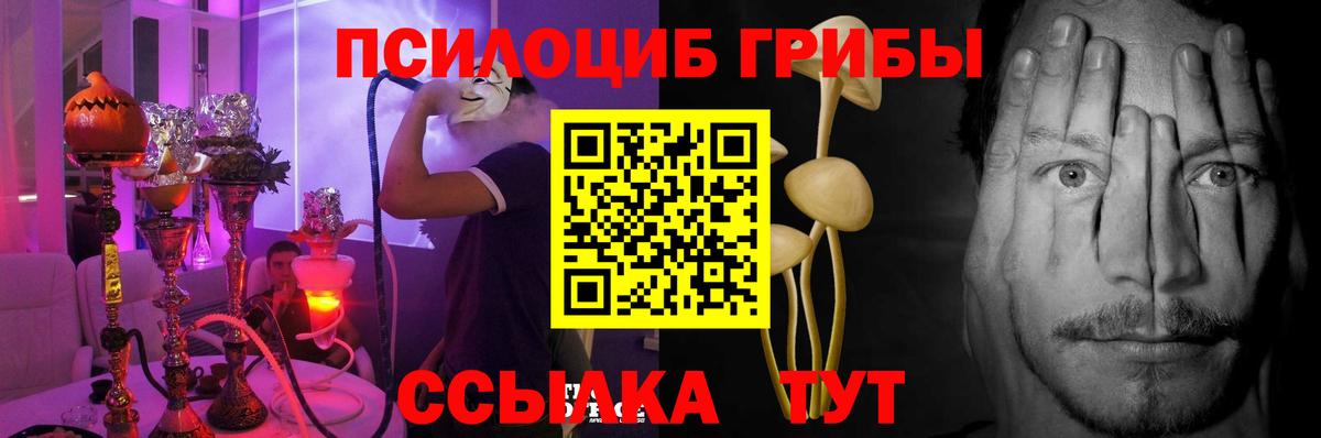 что такое   Галлюциногенные грибы Cubensis  Вход с VPN  Шебекино  Галлюциногенные грибы ЛСД 